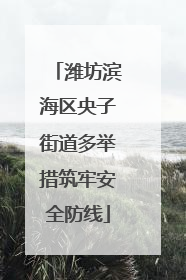 潍坊滨海区央子街道多举措筑牢安全防线